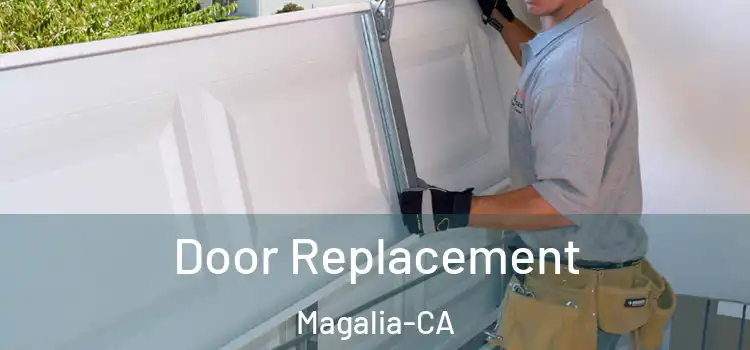  Door Replacement Magalia-CA